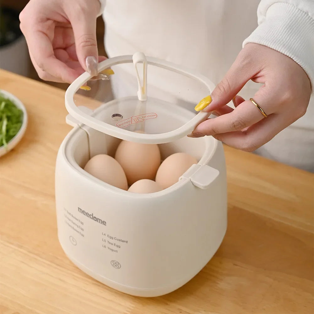 Electric Egg Cooker with 6 Boiling Modes