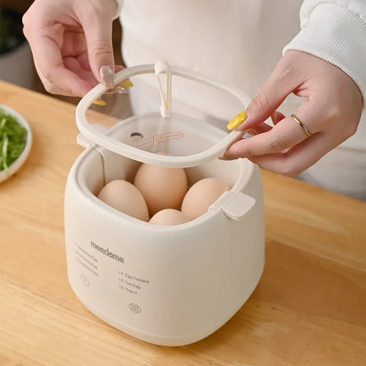 Electric Egg Cooker with 6 Boiling Modes